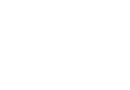 Logo 170 pekpol