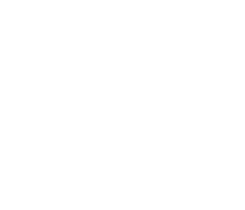 Logo 300 logo antares